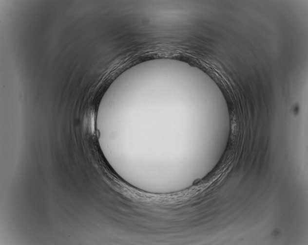 X0000101200046200806270840