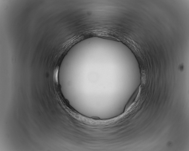 X0000101200047200806270840