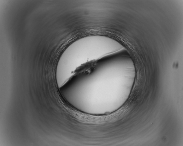 X0000101200048200806270840
