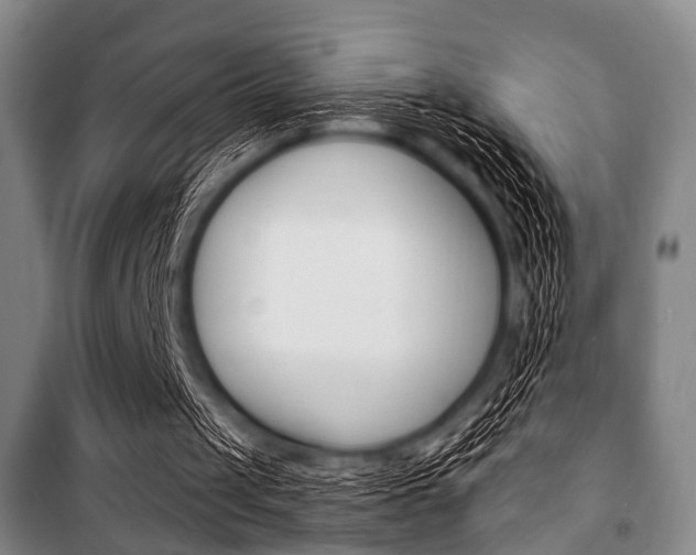 X0000101200049200806270839