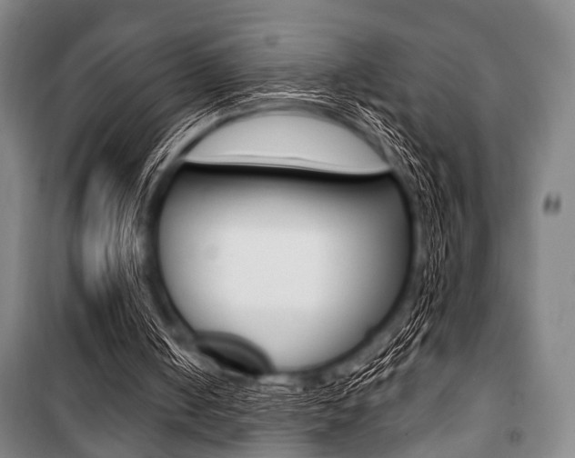 X0000101200050200806270839