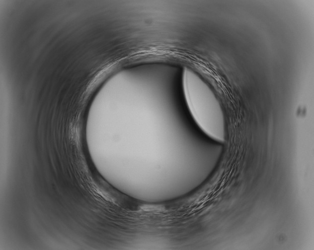 X0000101200051200806270839