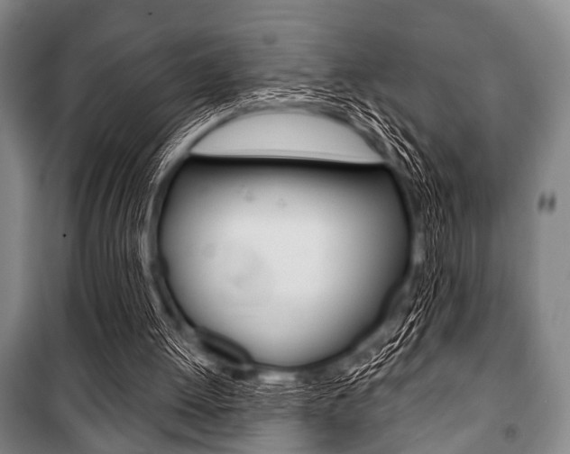 X0000101200052200806270839