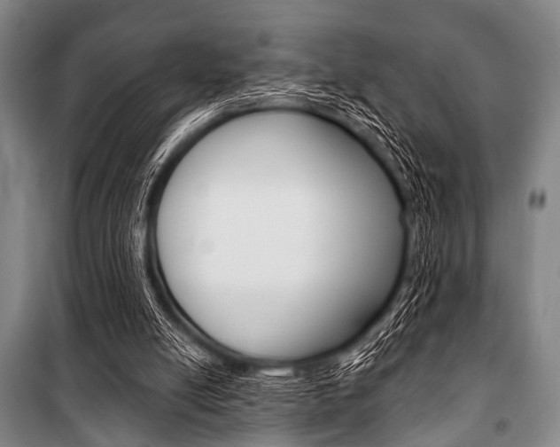 X0000101200054200806270839