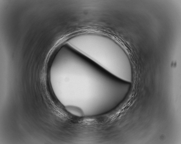 X0000101200055200806270839