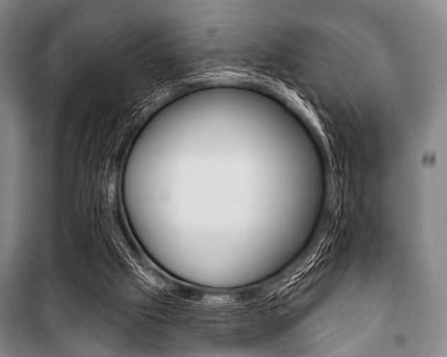 X0000101200057200806270839
