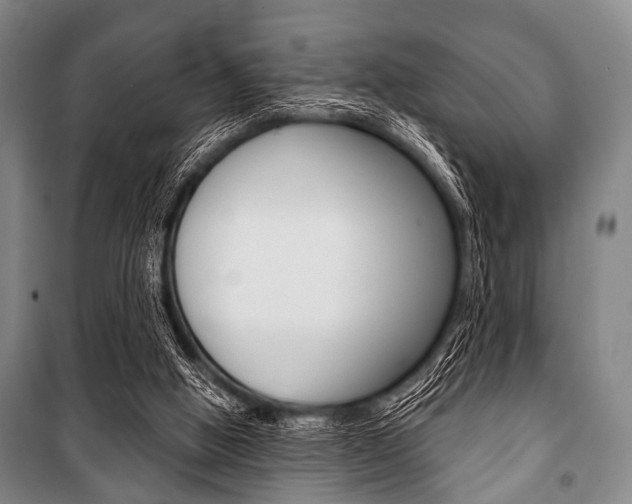 X0000101200058200806270839