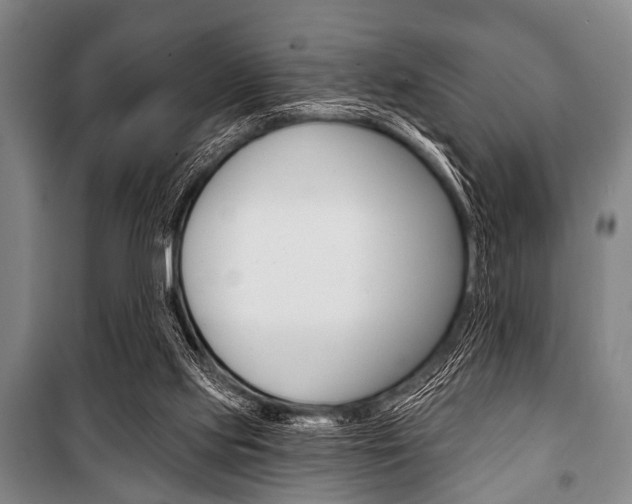 X0000101200061200806270839