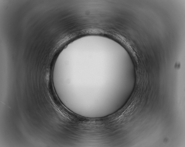 X0000101200063200806270839