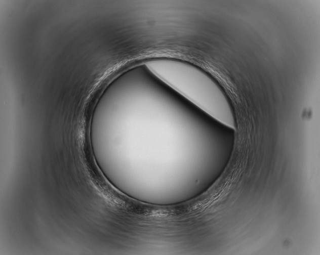 X0000101200064200806270839