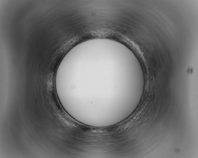 X0000101200065200806270839