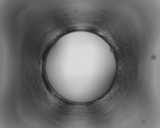 X0000101200066200806270839