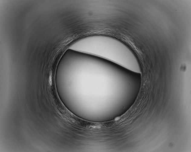 X0000101200068200806270839