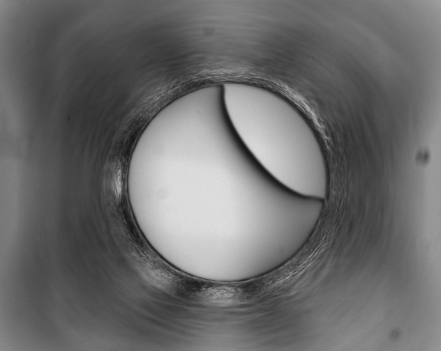 X0000101200069200806270839