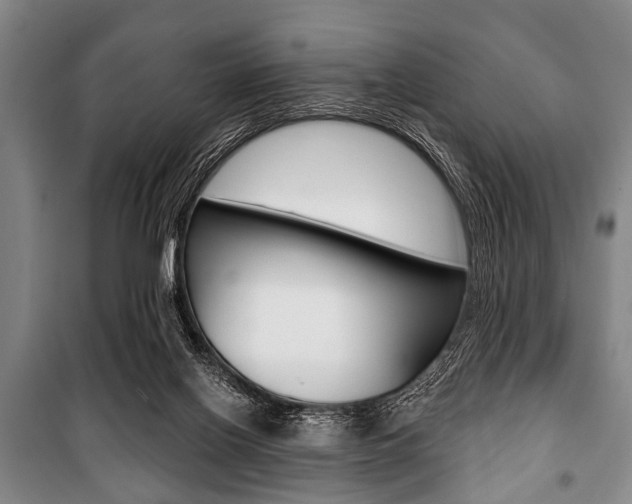 X0000101200070200806270839
