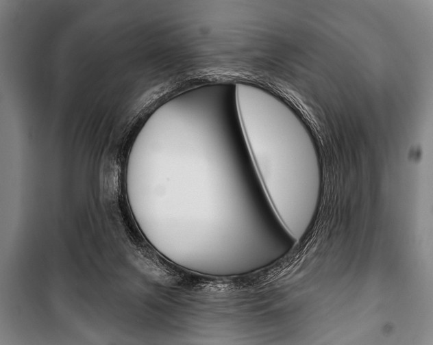 X0000101200071200806270839