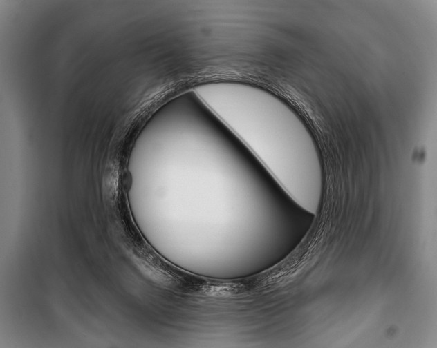 X0000101200072200806270839