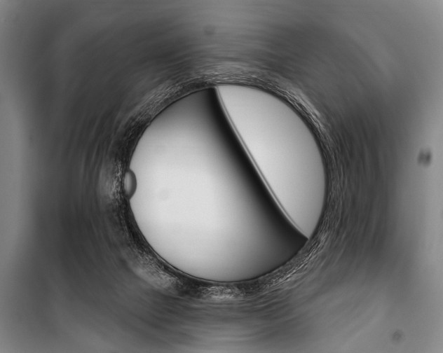 X0000101200073200806270839