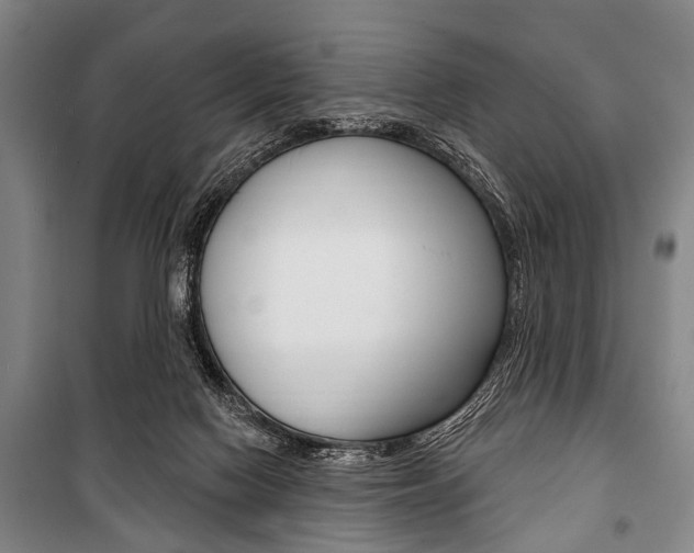 X0000101200074200806270839