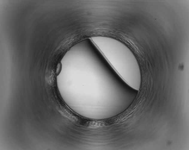 X0000101200077200806270839
