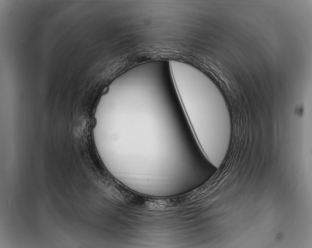 X0000101200079200806270839