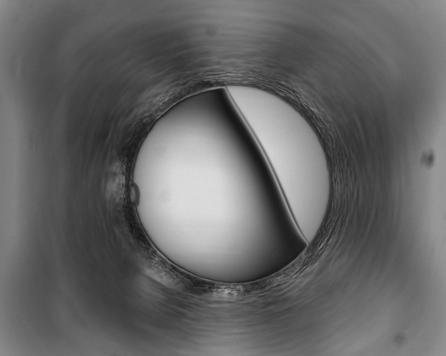 X0000101200080200806270839