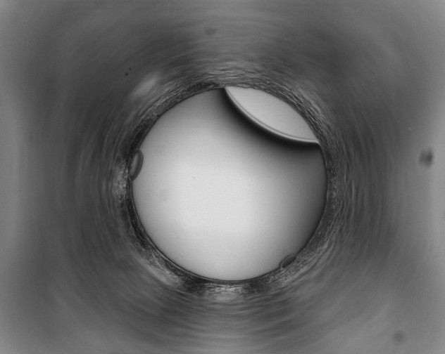 X0000101200081200806270839