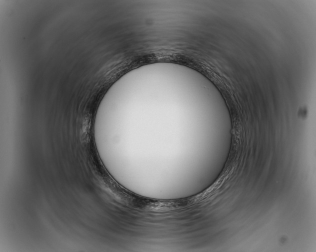 X0000101200082200806270839