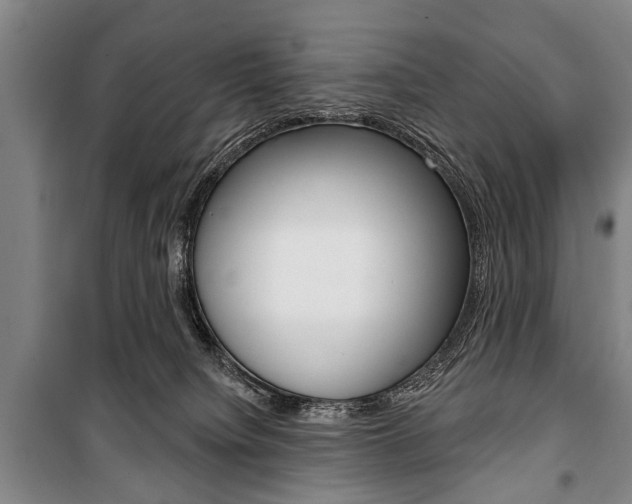 X0000101200084200806270839