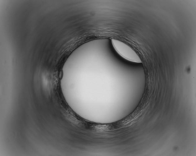 X0000101200085200806270839