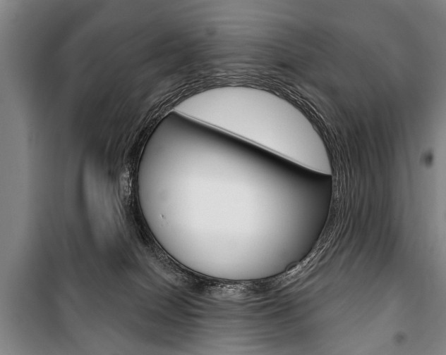 X0000101200086200806270839