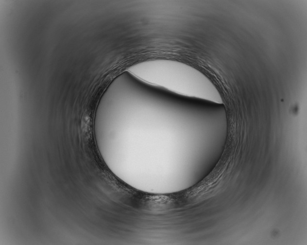 X0000101200087200806270839