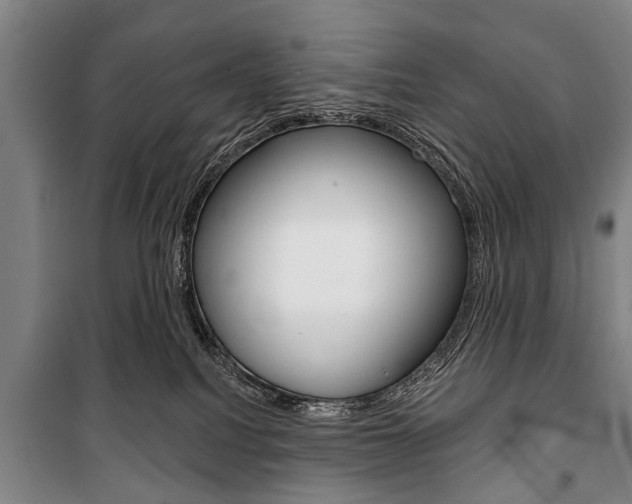 X0000101200088200806270839