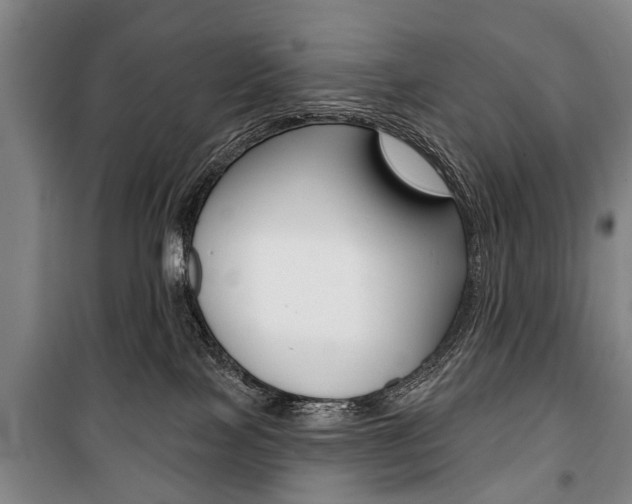 X0000101200089200806270839