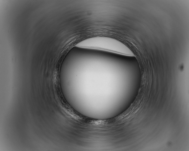 X0000101200092200806270840