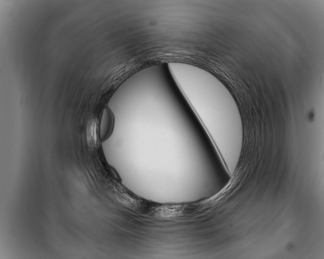 X0000101200094200806270840
