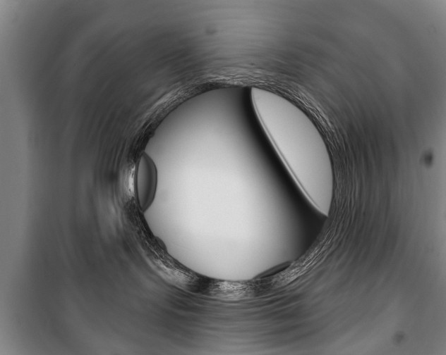 X0000101200095200806270840