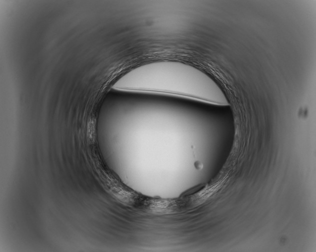 X0000101200096200806270840