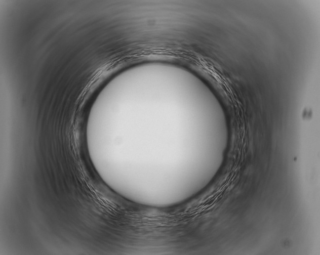 X0000101200098200806270839