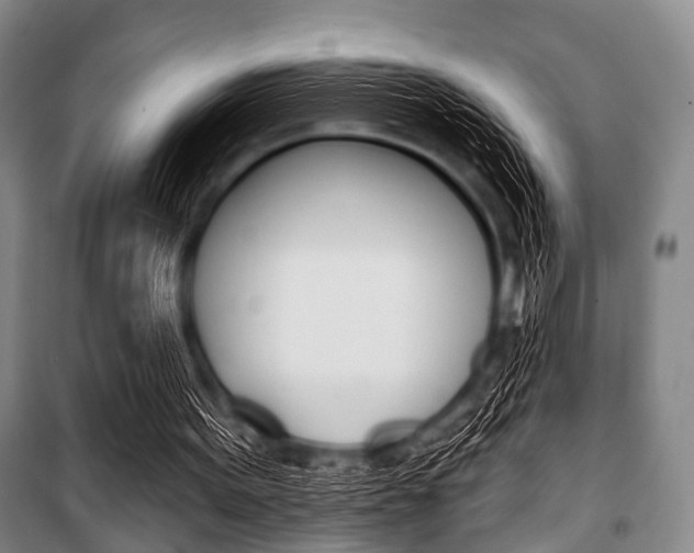 X0000101200099200806270839