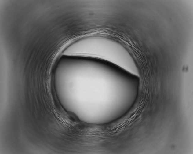 X0000101200100200806270839