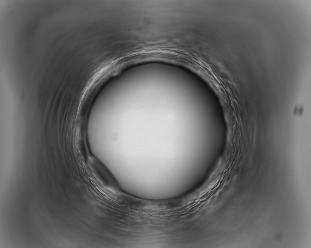 X0000101200101200806270839
