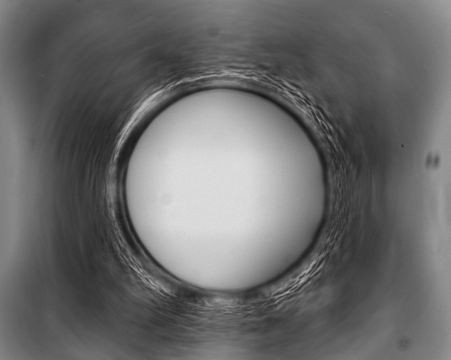 X0000101200102200806270839
