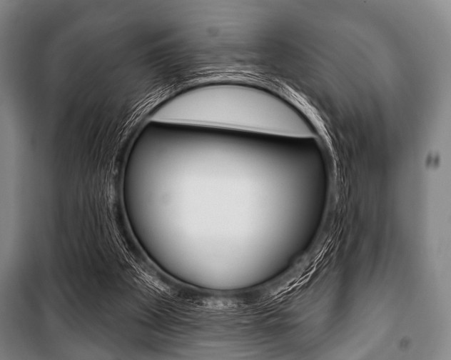 X0000101200105200806270839