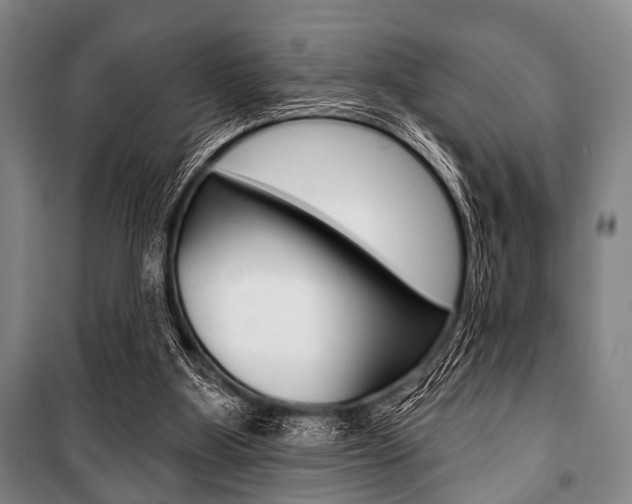 X0000101200107200806270839