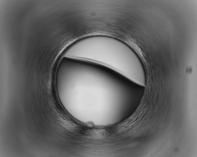 X0000101200108200806270839