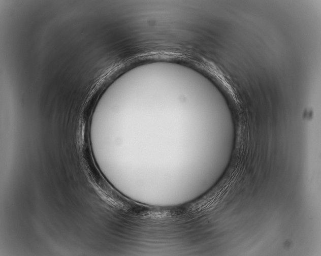 X0000101200110200806270839