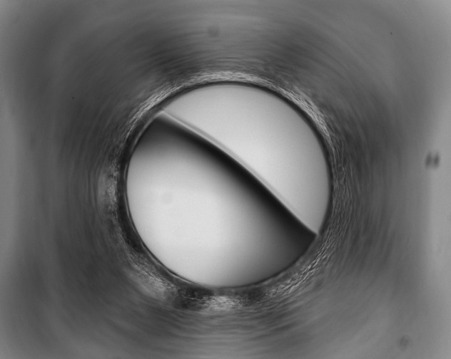 X0000101200111200806270839