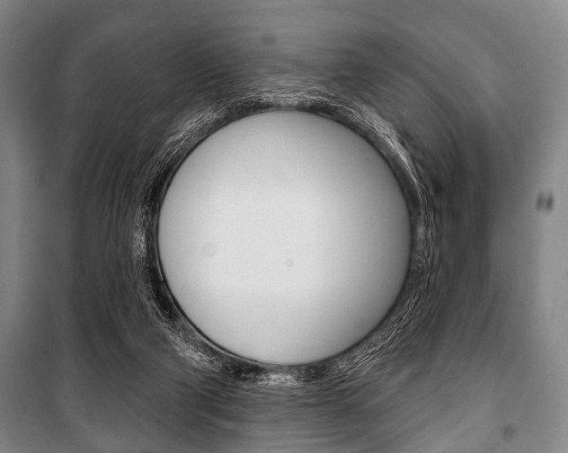 X0000101200114200806270839