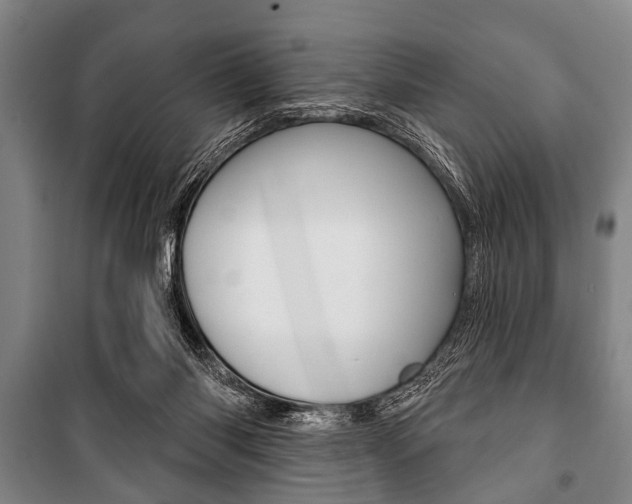 X0000101200118200806270839